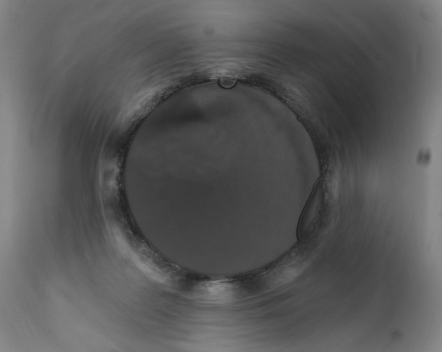 X0000111580219200908271044