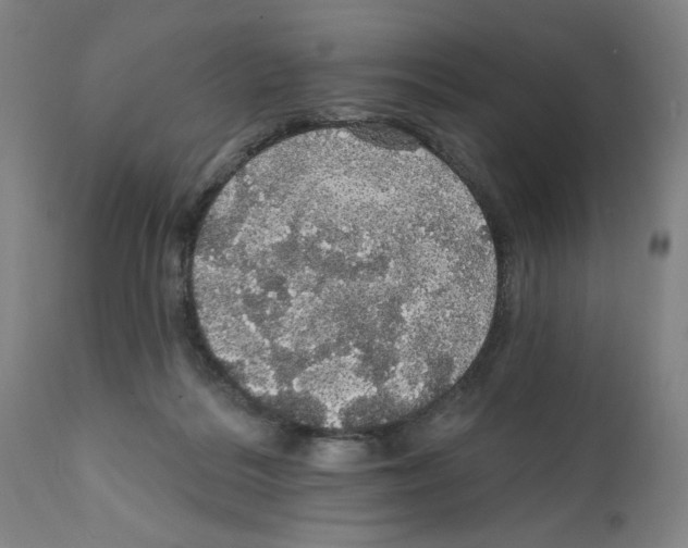 X0000111580220200908271044