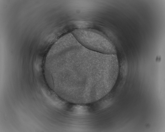 X0000111580221200908271044