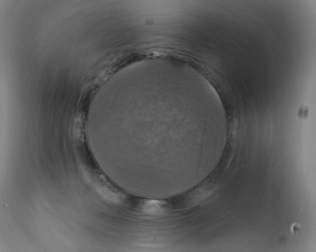 X0000111580222200908271044