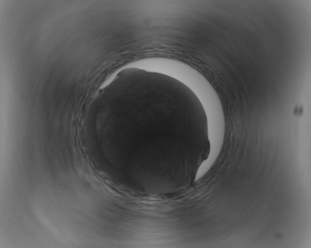 X0000111580223200908271044