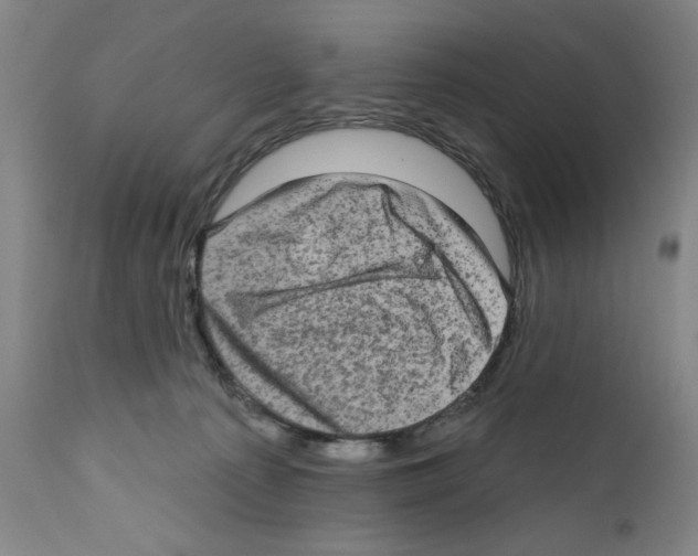 X0000111580225200908271044