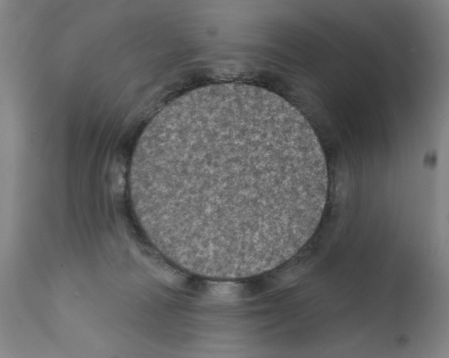 X0000111580226200908271044