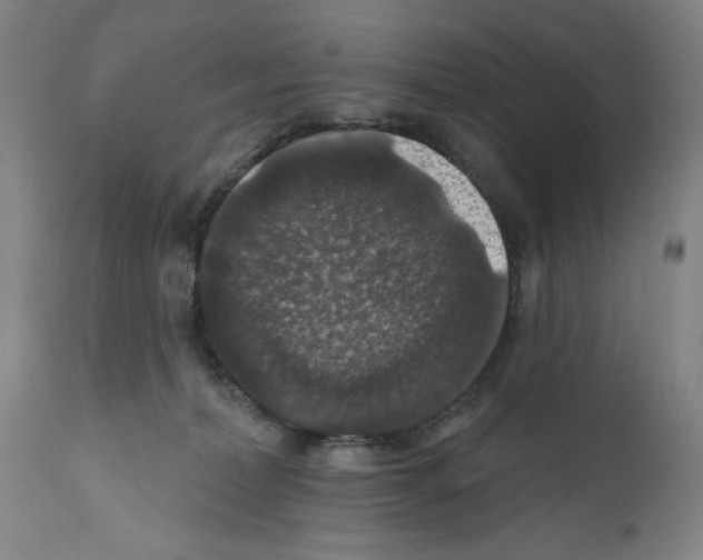 X0000111580228200908271044