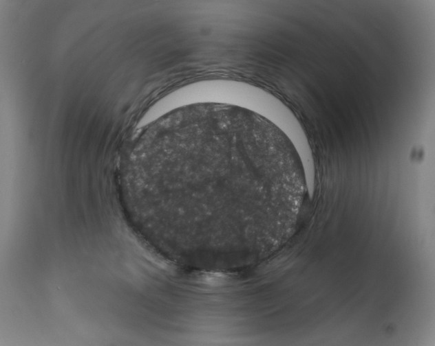 X0000111580229200908271044