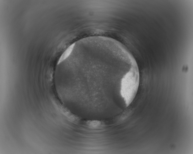 X0000111580230200908271044