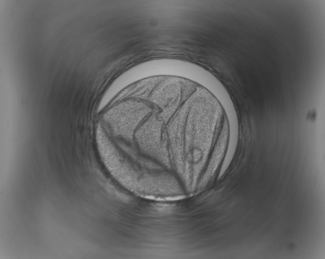 X0000111580233200908271043