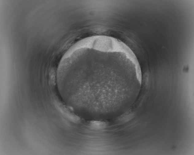 X0000111580234200908271043