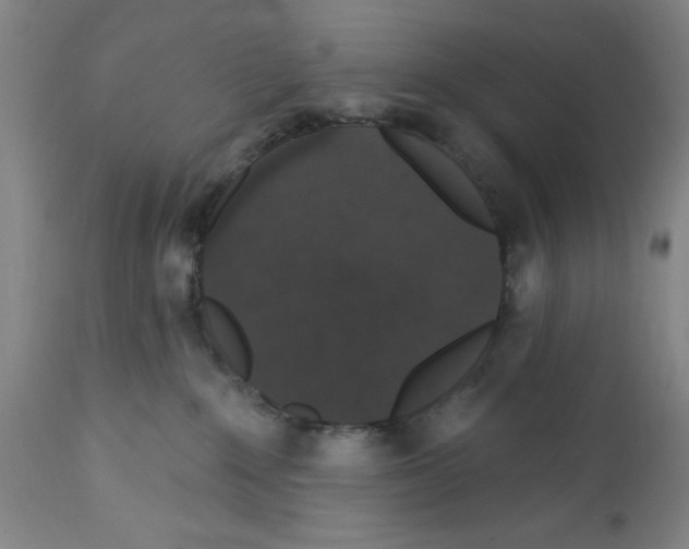 X0000111580235200908271043