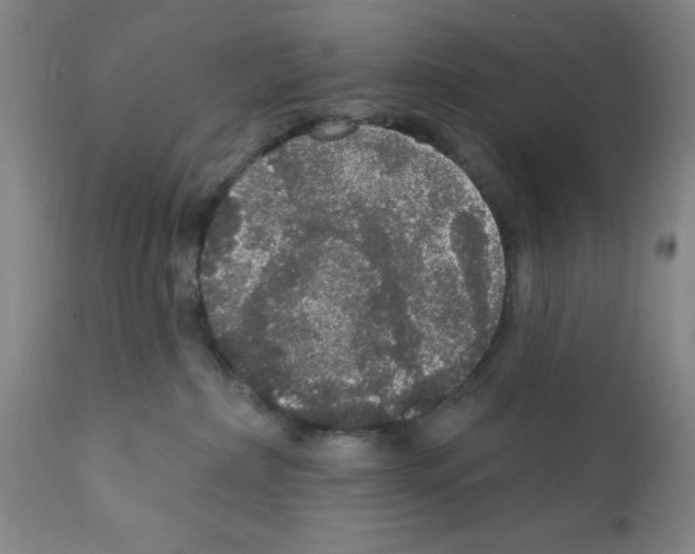 X0000111580236200908271043