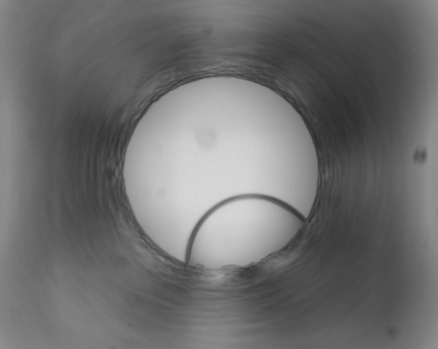 X0000111580237200908271043