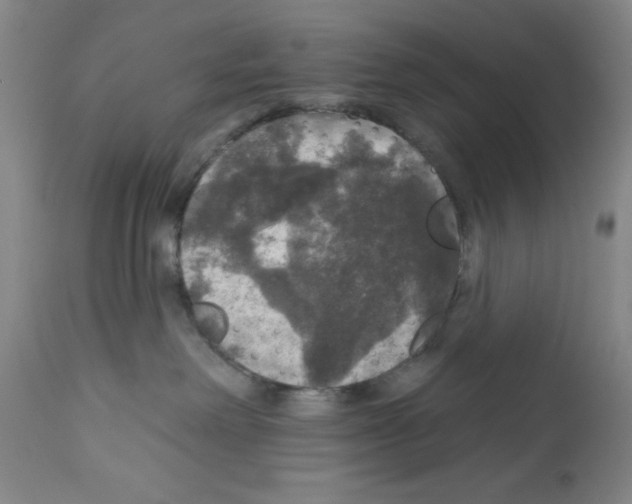 X0000111580238200908271043