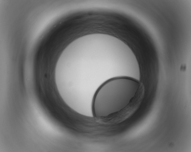 X0000111580239200908271043