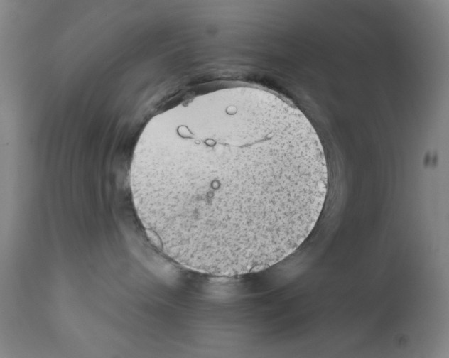 X0000111580240200908271043