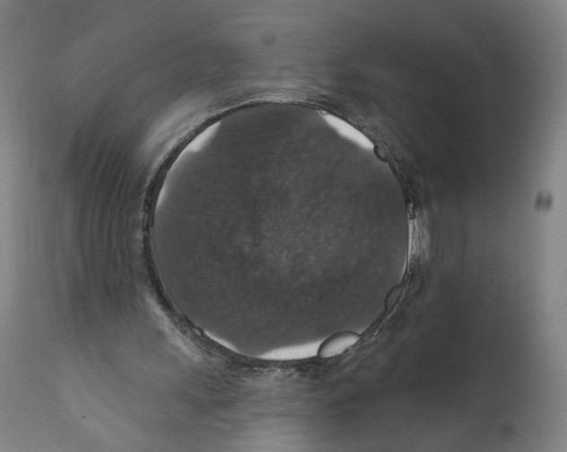 X0000111580243200908271042