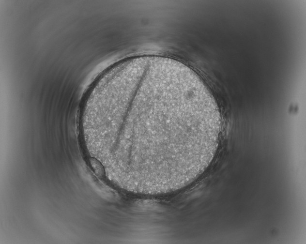 X0000111580244200908271042