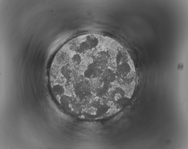 X0000111580245200908271042