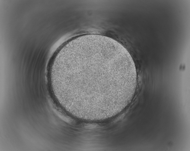 X0000111580246200908271042