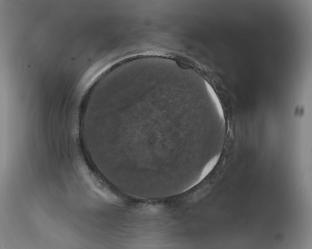 X0000111580247200908271042