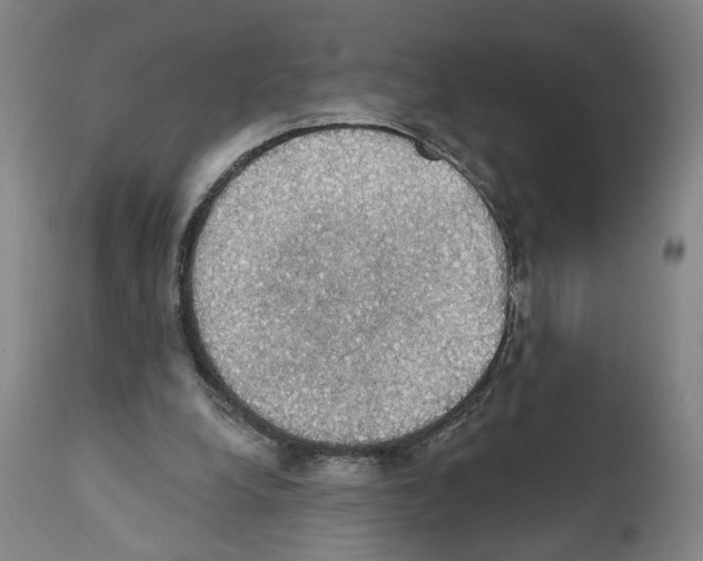 X0000111580248200908271042