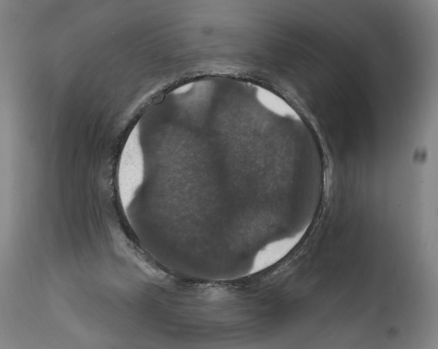 X0000111580249200908271042