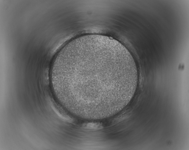 X0000111580251200908271042