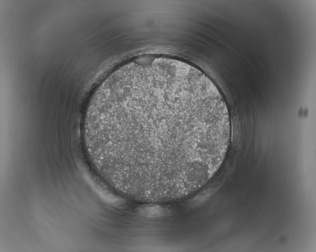 X0000111580253200908271042