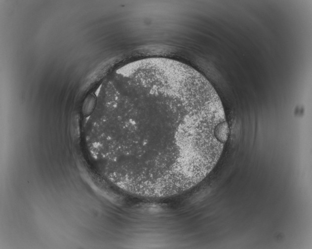 X0000111580254200908271042