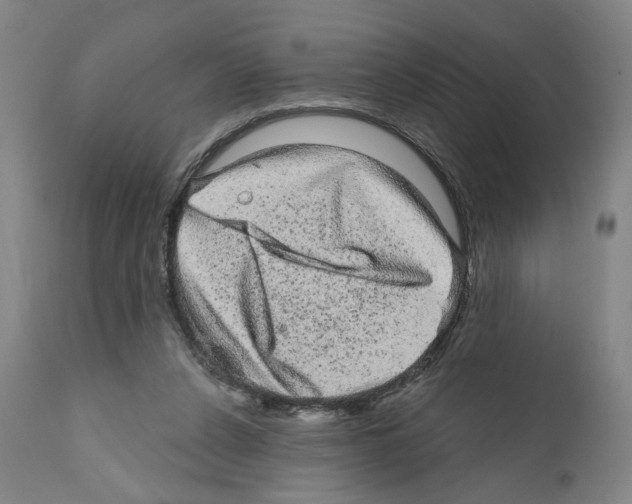 X0000111580256200908271042