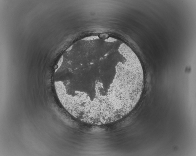 X0000111580257200908271042