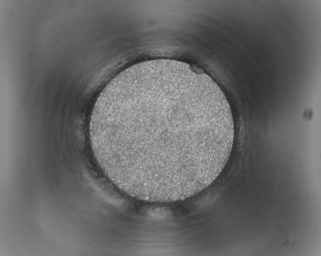 X0000111580258200908271042