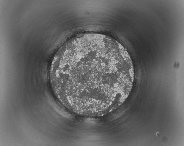 X0000111580261200908271042