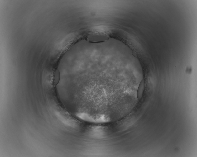 X0000111580268200908271043