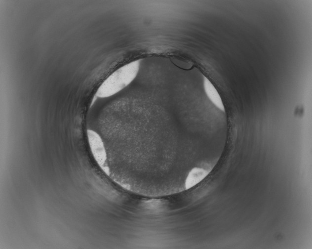 X0000111580269200908271043