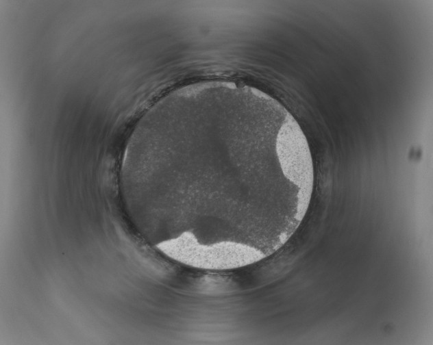 X0000111580270200908271043