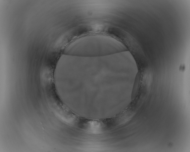 X0000111580272200908271043