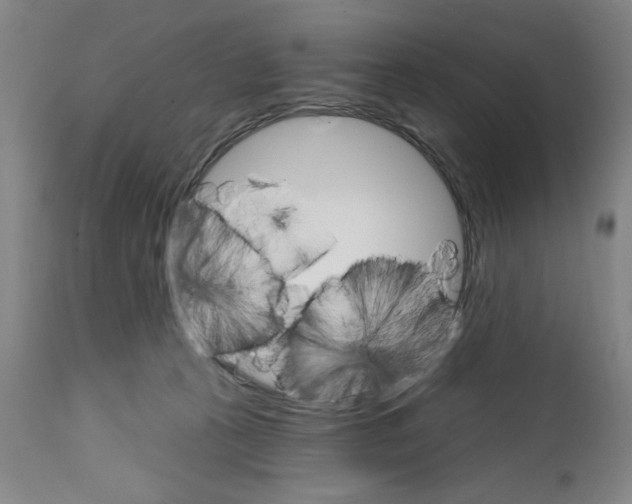 X0000111580273200908271043