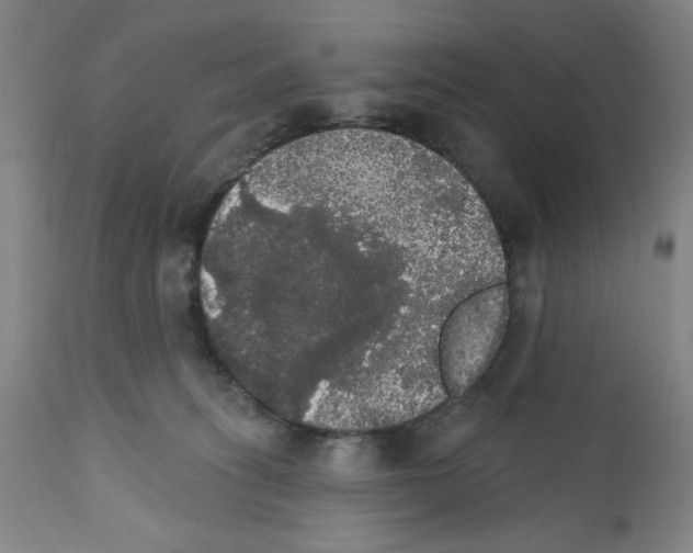 X0000111580275200908271043