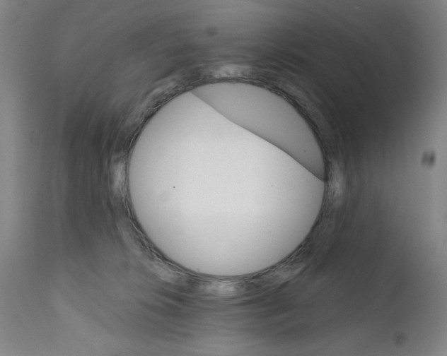 X0000111580276200908271043