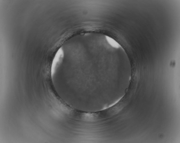 X0000111580277200908271043