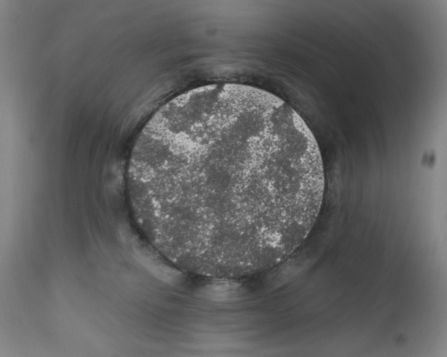 X0000111580278200908271043