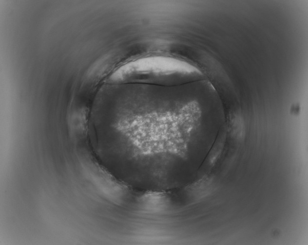 X0000111580280200908271043