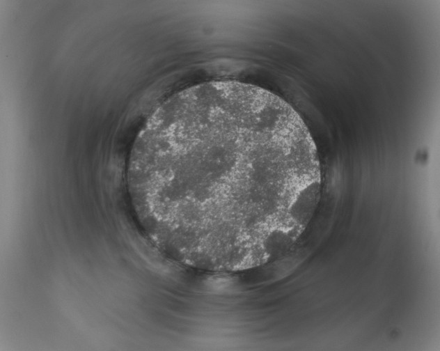 X0000111580283200908271043