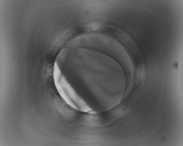 X0000111580284200908271043