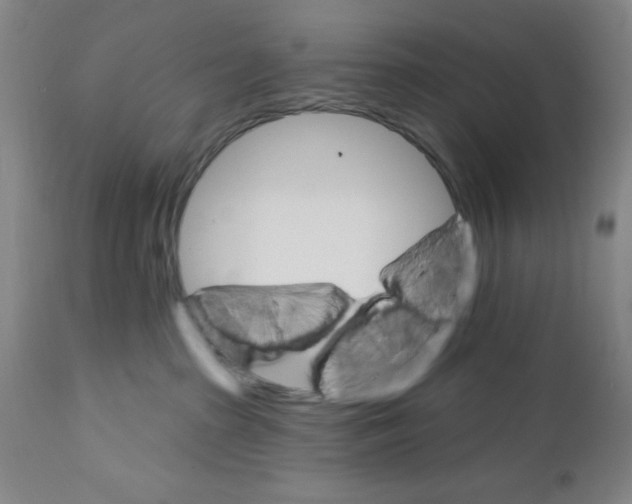 X0000111580285200908271043