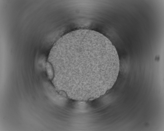 X0000111580287200908271043