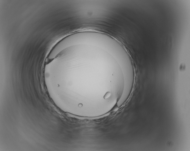 X0000111580289200908271042