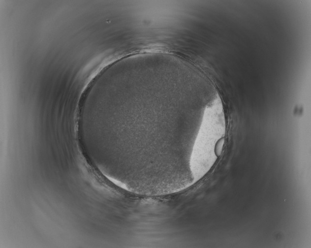 X0000111580290200908271042