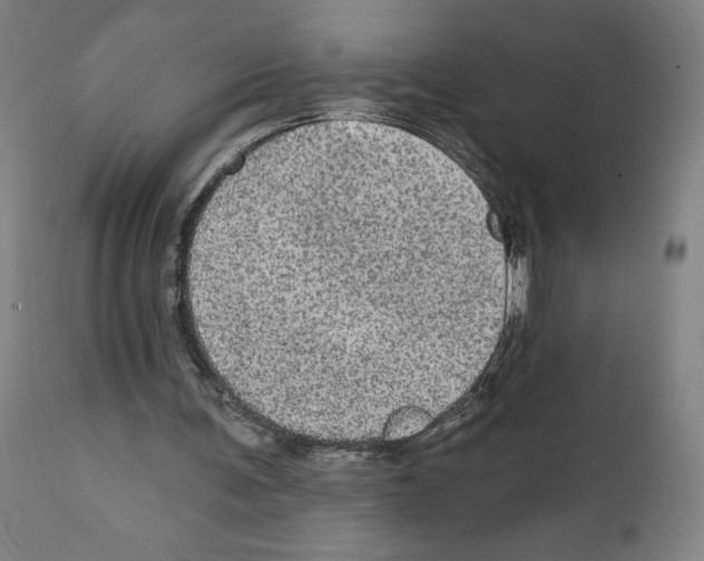 X0000111580291200908271042