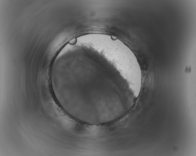 X0000111580293200908271042